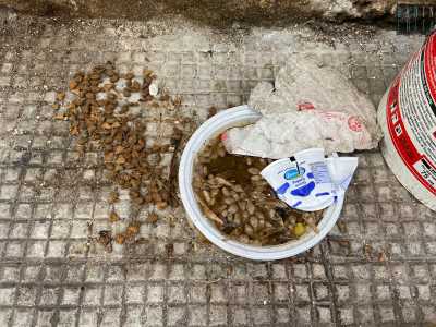 Un provvedimento doveroso, perch� spesso la realt� ci mostra colonie abbandonate a loro stesse, sporche e maleodoranti, abitate da esemplari non sterilizzati e nutriti con avanzi di cibo magari lasciati poi a marcire per terra